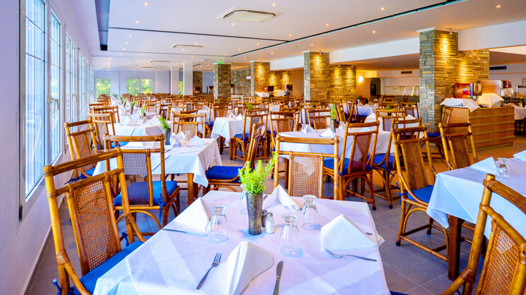 Mitsis Alexander the Great